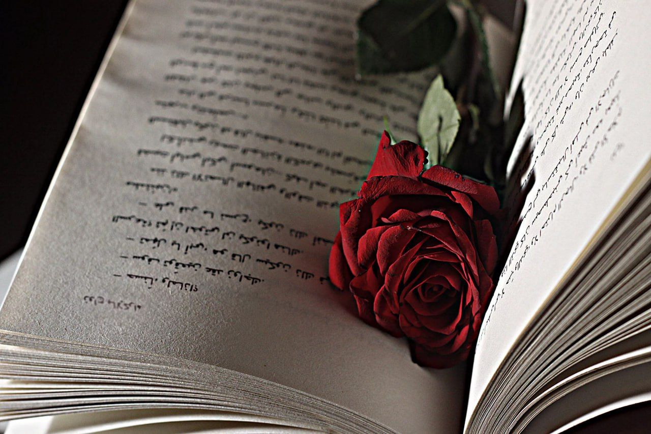 Pin en Books Beautifully Pictured Fondos de escritorio minimalista, Hacer fondos