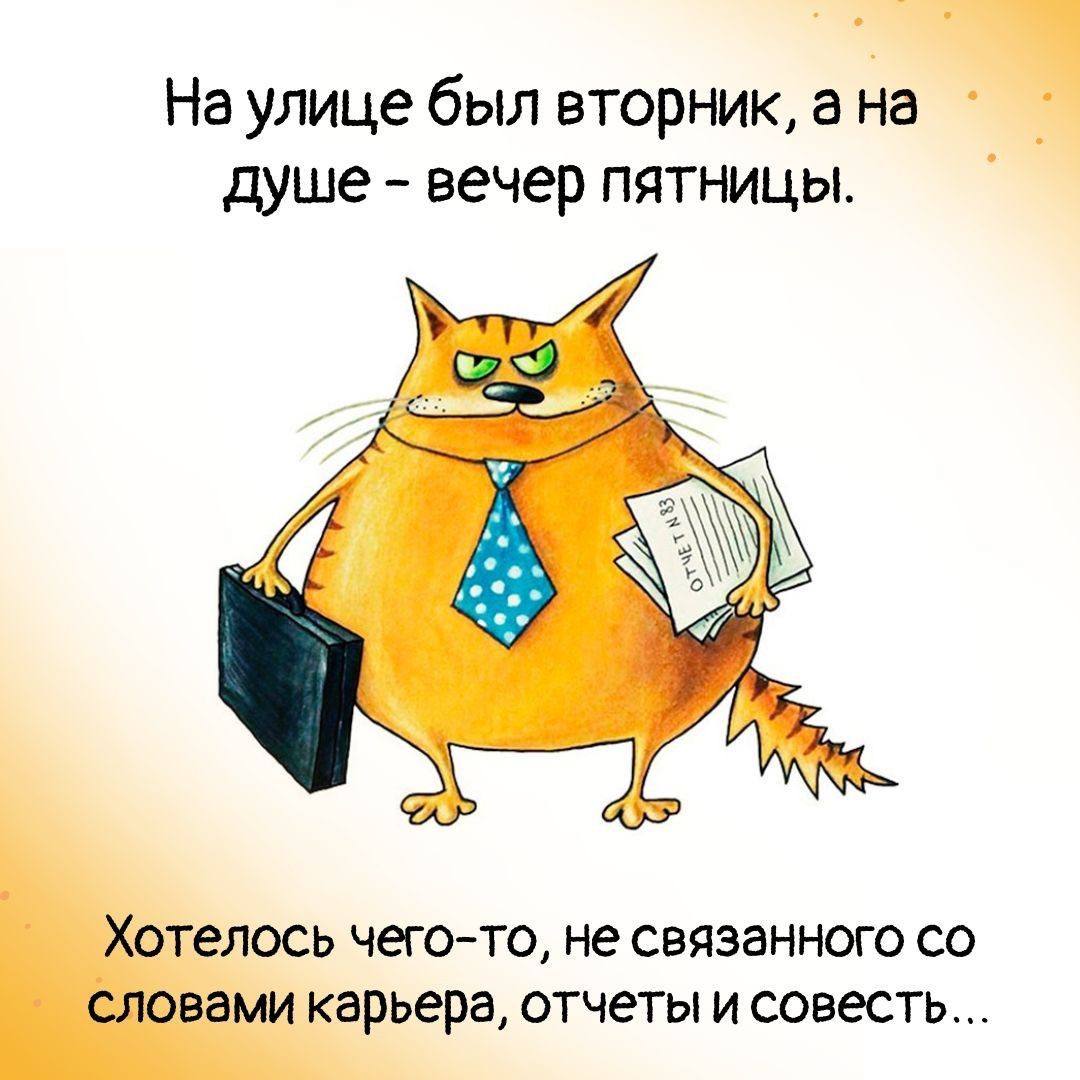Прикольные открытки со вторником смешные