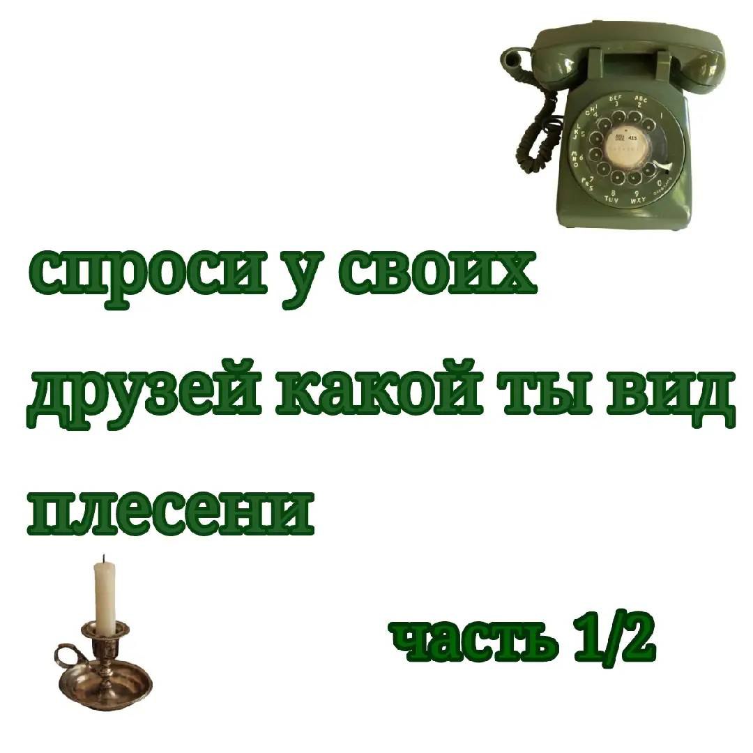 Публикация #11706 — неофолк тред (@neofolkthread)