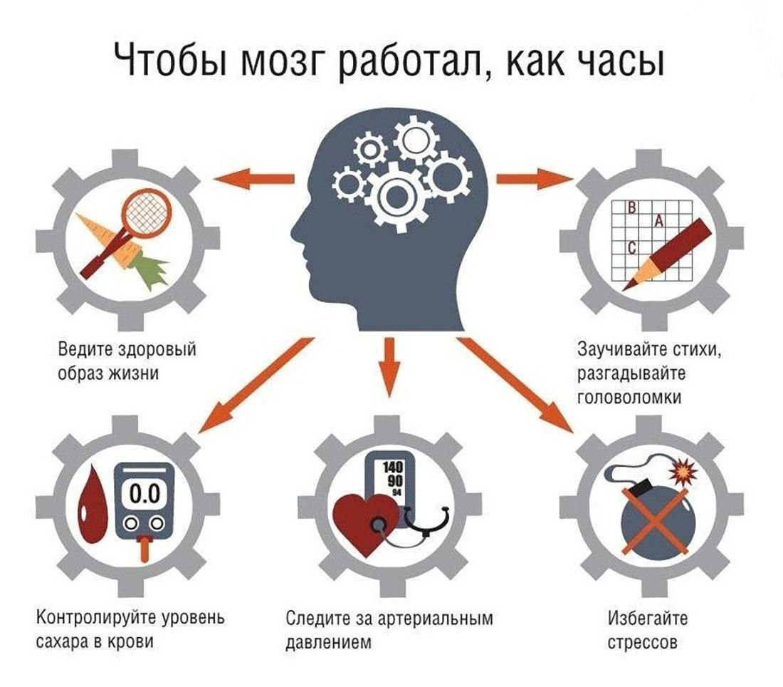 Мы есть у мозга. Тренировка мозга. Зарядка для мозга. Как функционирует мозг. Тренируем мозг и память.