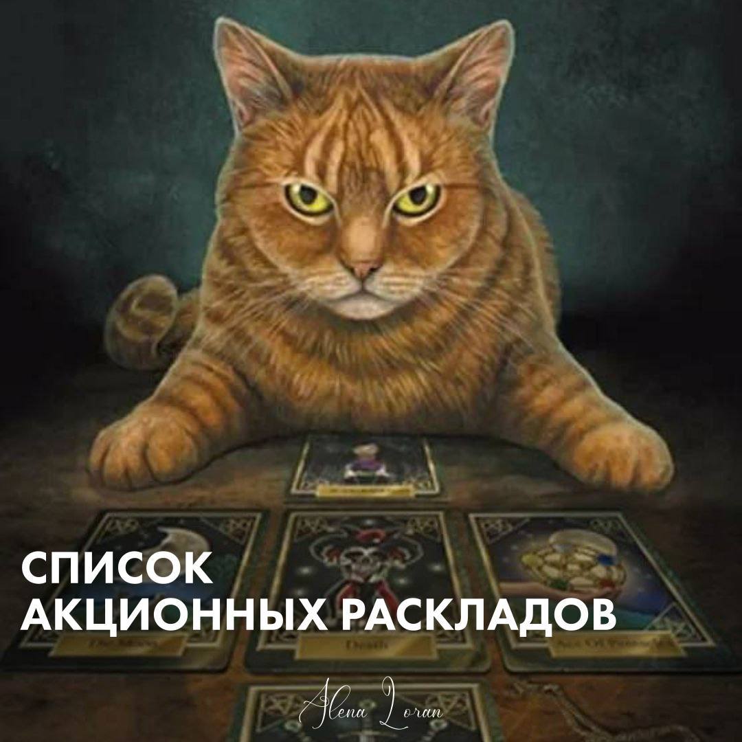 Кот гадает