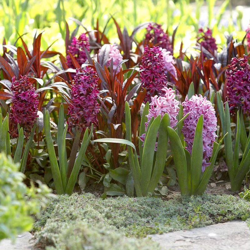 Telegram-канал \"Участок своими руками\" — 3IcZibkv65QxNTBi — TGStat