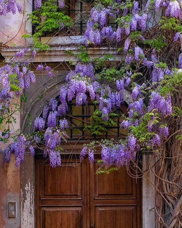 Telegram-канал \"Участок своими руками\" — 3IcZibkv65QxNTBi — TGStat