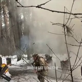 Наказание укронацисток